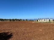 Terreno in vendita di 11919 m² in Contrada MELLONE