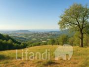 Terreno in vendita di 120000 m²