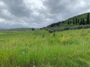 Terreno in vendita di 120000 m²