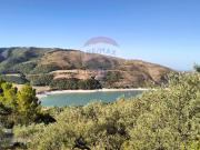 Terreno in vendita di 12000 m² in Strada Senza Nome