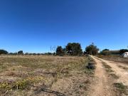 Terreno in vendita di 12000 m² in Via della Foresta