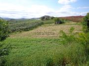 Terreno in vendita di 12000 m² in Via Montalfano