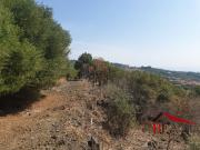 Terreno in vendita di 12000 m² in Via Sciarone