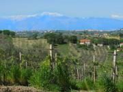 Terreno in vendita di 1200 m² in Contrada Civita