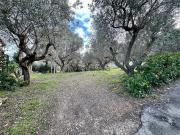 Terreno in vendita di 1200 m² in Strada Fonte Borea