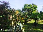 Terreno in vendita di 1200 m² in Via Cupa