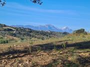 Terreno in vendita di 12050 m² in Strada Comunale Prati