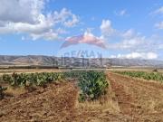 Terreno in vendita di 120780 m² in Contrada Bianca