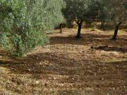 Terreno in vendita di 12146 m² in Strada San Pietro San...