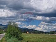 Terreno in vendita di 12170 m² in Via Pantano