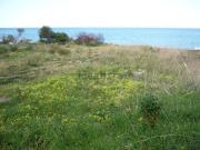 Terreno in vendita di 1220 m² in Via Poseidonia