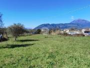 Terreno in vendita di 12336 m² in Via Casilina