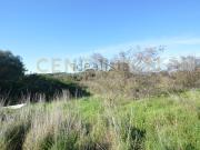 Terreno in vendita di 124700 m² in Strada Provinciale...