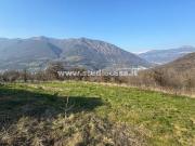 Terreno in vendita di 12500 m²