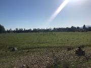 Terreno in vendita di 12500 m² in Via Bascus Argius
