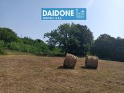 Terreno in vendita di 12500 m² in Via del Poggetto