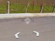 Terreno in vendita di 12500 m² in Via Sala