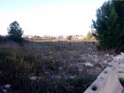 Terreno in vendita di 12587 m² in Via dei Ferrari