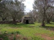 Terreno in vendita di 1270 m² in Via vicinale andrano...