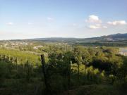 Terreno in vendita di 12800 m² in Via Giuseppe Garibaldi