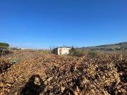 Terreno in vendita di 12821 m² in Via Cavallino, 89