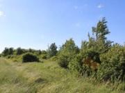 Terreno in vendita di 12868 m² in Via N. Panini