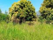 Terreno in vendita di 12959 m² in Via Capece Scondito