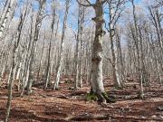 Terreno in vendita di 13000000 m² in Piazza Cattedrale, 16