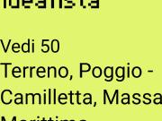 Terreno in vendita di 130000 m²