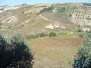 Terreno in vendita di 130000 m² in Strada Provinciale 29b