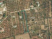 Terreno in vendita di 13000 m² in Contrada Forleo Superiore