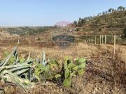 Terreno in vendita di 13000 m² in Via Luigi Capuana