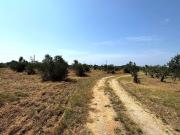 Terreno in vendita di 13000 m² in Via per Sannicola
