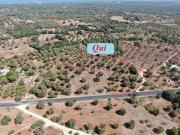 Terreno in vendita di 13000 m² in Via San Vito dei Normanni