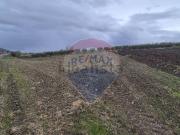 Terreno in vendita di 1300 m²