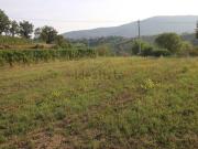 Terreno in vendita di 1300 m² in Località Asci