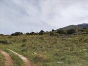 Terreno in vendita di 1300 m² in Via Zercate