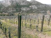 Terreno in vendita di 13040 m² in Piazza Cittadella, 16