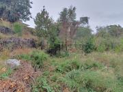 Terreno in vendita di 1310 m² in Via Filippo Timpanaro, 9
