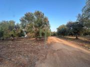 Terreno in vendita di 13197 m² in Contrada Sfacilla