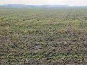 Terreno in vendita di 132112 m² in Via dei Ronchi