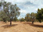 Terreno in vendita di 13300 m² in Via Castri, 10