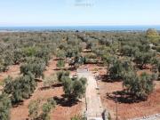 Terreno in vendita di 13381 m² in Via Carovigno