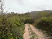 Terreno in vendita di 1342 m² in Strada Provinciale 16
