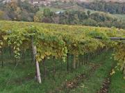 Terreno in vendita di 13500 m² in Via Rugolotti