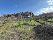 Terreno in vendita di 13609 m² in Via Linguaglossa, 37