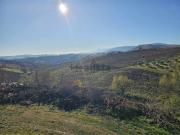 Terreno in vendita di 1370 m²