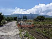 Terreno in vendita di 13824 m² in Strada Statale...