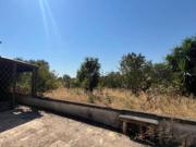 Terreno in vendita di 13862 m² in Contrada Santo Scalone