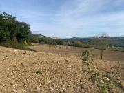Terreno in vendita di 140000 m² in Via Rimembranze, 8